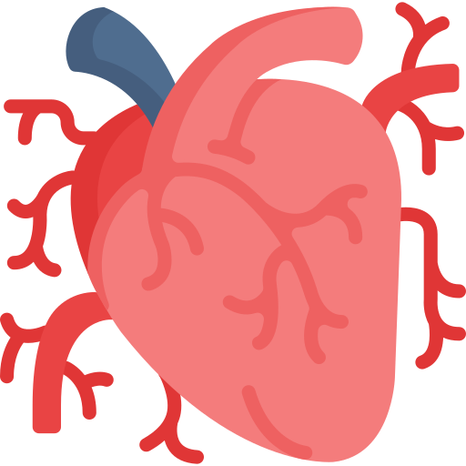 corazón